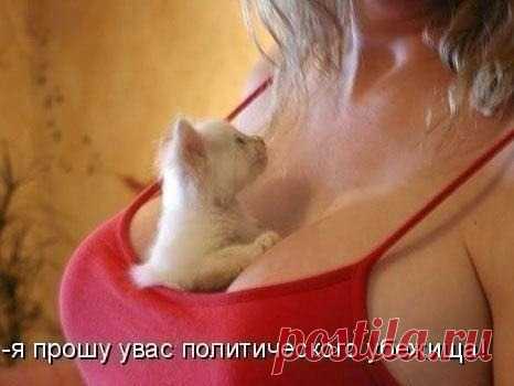 Классное убежище!