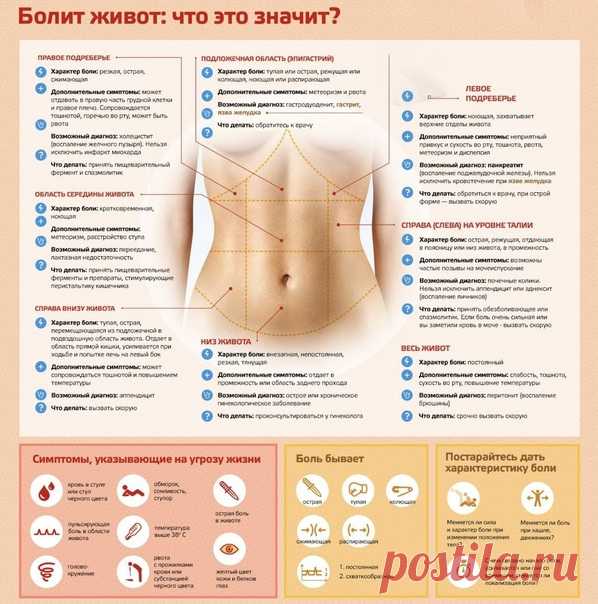 Запись на стене Что делать, если болит живот🤔Полезная информация!