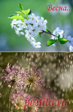 (2) Одноклассники