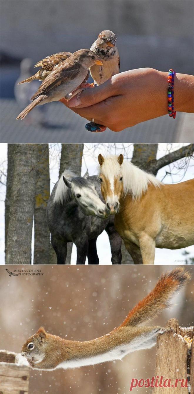 Наш мир глазами фотографа2