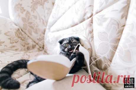 30 лучших фотографий 2017 года, которые показывают, почему свадьба запоминается на всю жизнь