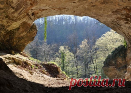 10 невероятных трюков, которые ученые впервые провернули с ДНК