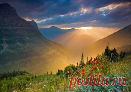 Долина Цветов в Гималаях.