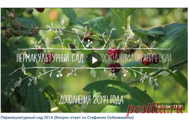 Дмитрий Нохрин Пермакультурный сад: превосходящий органический это полнометражный образовательный фильм, в котором рассказывается, как создать свой собственный пермакультурный сад любого масштаба. Биолог, преподаватель, ландшафтный дизайнер и владелец Чудо-фермы, Стефан Собковиак делится своим опытом преобразования традиционного яблоневого сада в изобильный, самоподдерживающийся сад полного разнообразия. Концепции, техники и советы, представленные в этом фильме, помогут вам создать ваш собственн