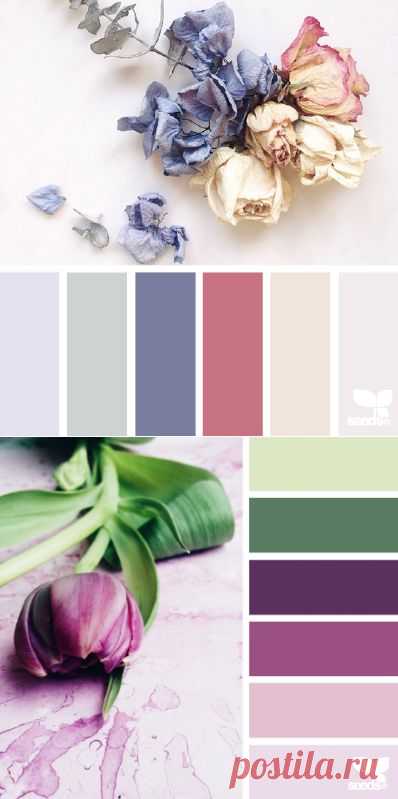 дизайн семена | для всех, кто ♥ цвет