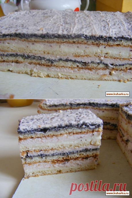 Торты с рецептами №28