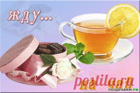 Извините, я к Вам…  Я – &quot;на чай&quot;...
Не прогоните?.. Я в уголочке
буду, редко вздыхая, молчать
И листать  Ваши тёплые строчки…
Извините, я к Вам… Погрустить…
И согреться… И, может быть, вспомнить…
И уплыть вместе с Вами… Уплыть…
Слушать чаек на дальнем затоне...
И мечтать, как всегда, ни о чём…
И касаться ладошками звуков…
И почувствовать Ваше плечо…
Я – серьёзно… Я к Вам – не от скуки…
Извините, я к Вам… Просто так…
На минутку… на самую малость…