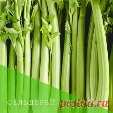 Сельдереевый суп диета на 7 дней