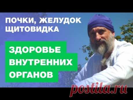 Поджелудочнная Железа, Щитовидная Железа, Почки, Надпочечник - Здоровье Внутренние Органов