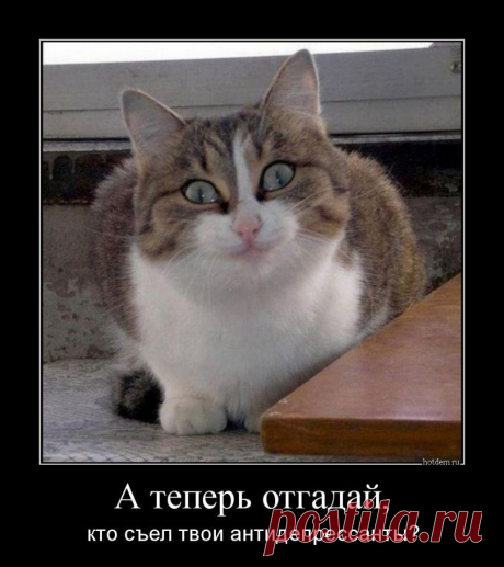 Демотиваторы: смешные и прикольные, про девушек в картинках горячее - Фишки.нет