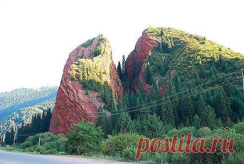 Одноклассники