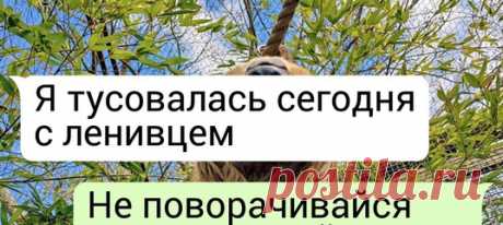 19 идеальных фото, авторам которых хочется предъявить: «Докажи, что это не фальшивка»