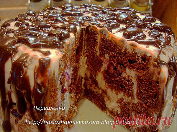 Наслаждение вкусом: Шоколадный торт с творожно-йогуртовым кремом. | Торты, Пирожные и Рулеты