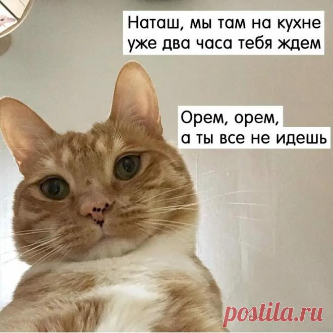 fef3d1b1.jpg (736×736)