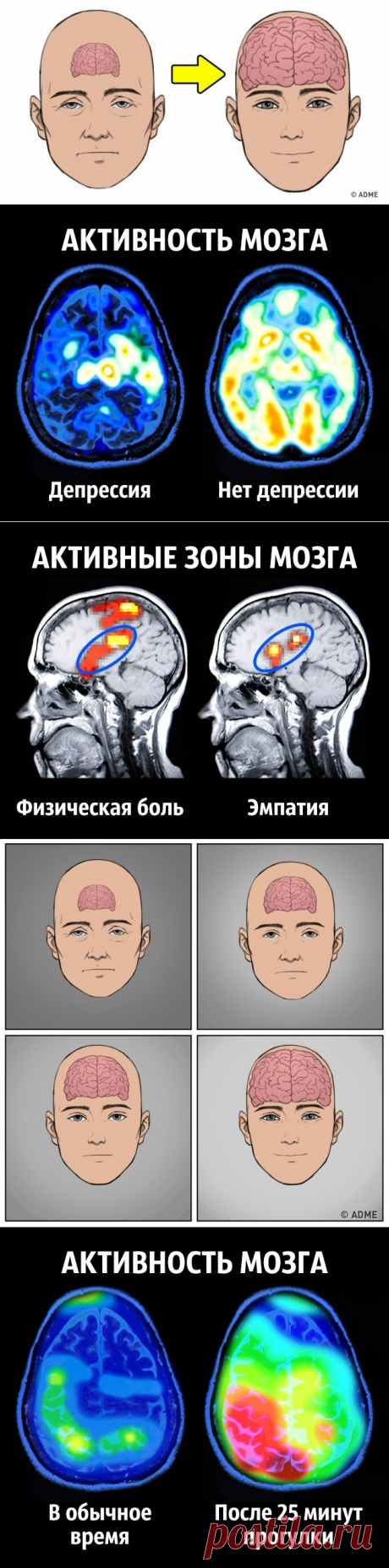 8 советов нейробиолога о том, как стать счастливым раз и навсегда