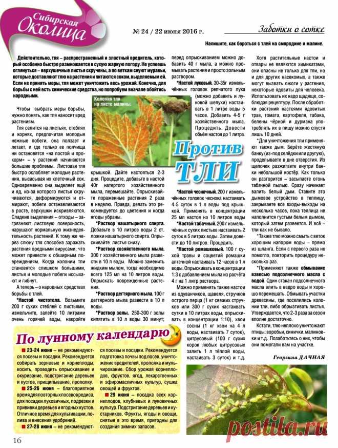 Против тли