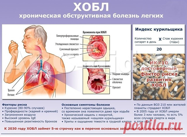 чистка легких