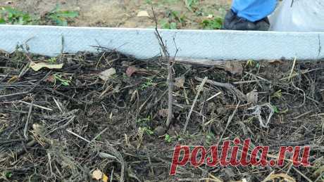 Как правильно и чем укрывать ягодные кустарники? Видео — Ботаничка