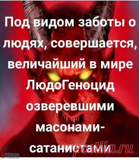 (4) Одноклассники