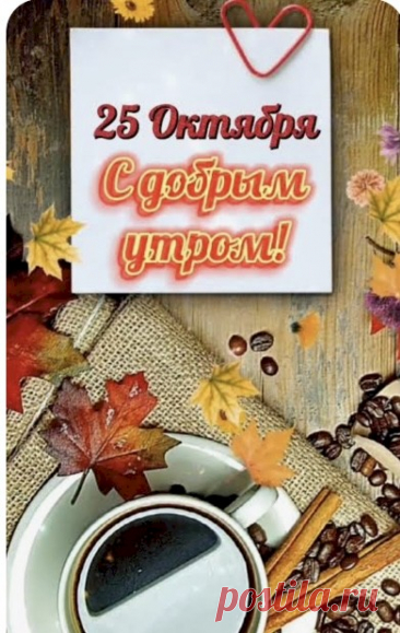 8b10cfae.jpg (391×619)