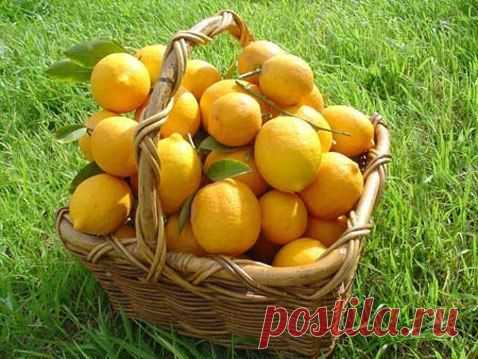 Лайфхак - полезные советы и идеи для жизни!