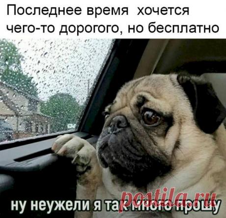 238f80ef.jpg (736×707)