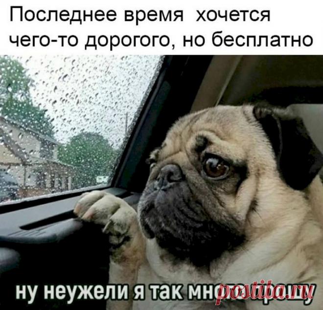 238f80ef.jpg (736×707)