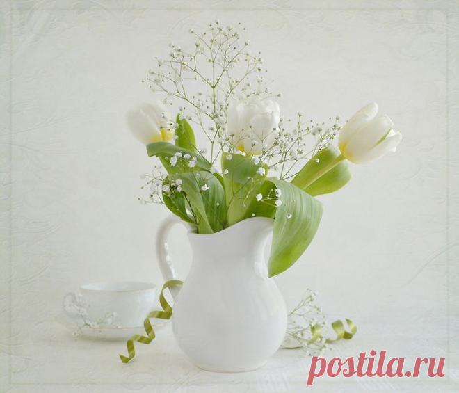 Натюрморты Нежнее нежного.