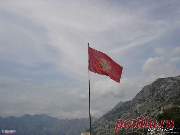 Kotor