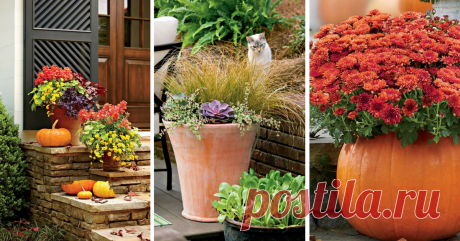 5 осенних композиций из цветов для выращивания в контейнерах Берите на заметку и претворяйте в жизнь!