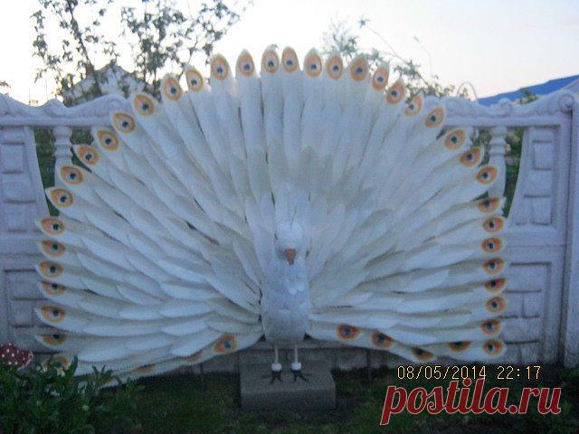 Вторая жизнь пластиковой бутылки
Nadezda Kohanova