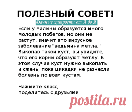 (29) Одноклассники