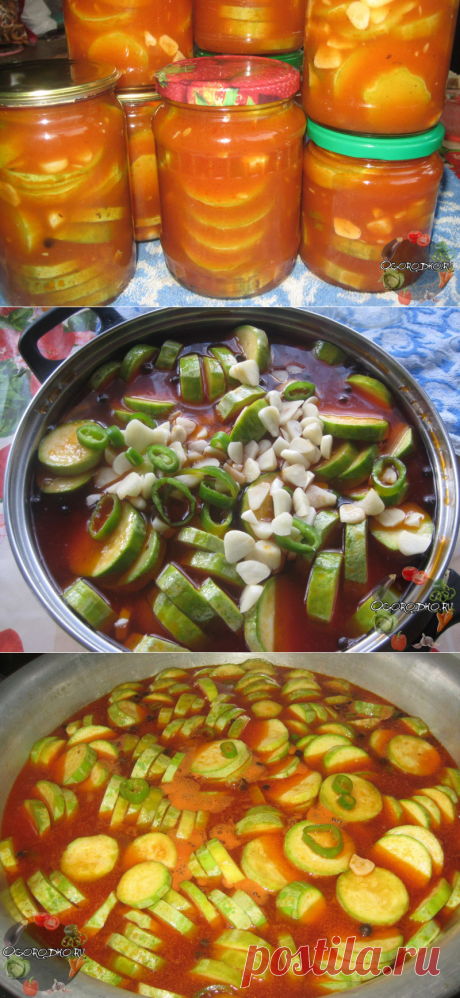 Кабачки в томатном соусе – нереально вкусные, возьмите на заметку!