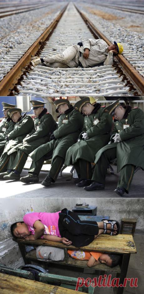 Лучшие фотографии со всего света - Китайская сиеста