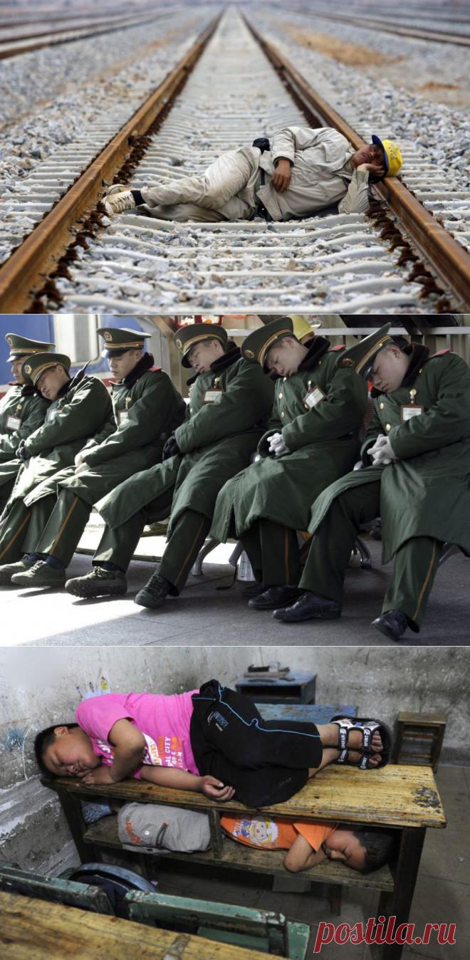 Лучшие фотографии со всего света - Китайская сиеста