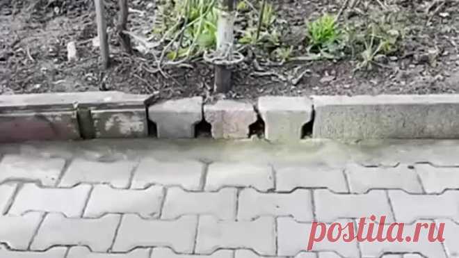 Видео когда руки растут из нужного места (480p).mp4 | OK.RU