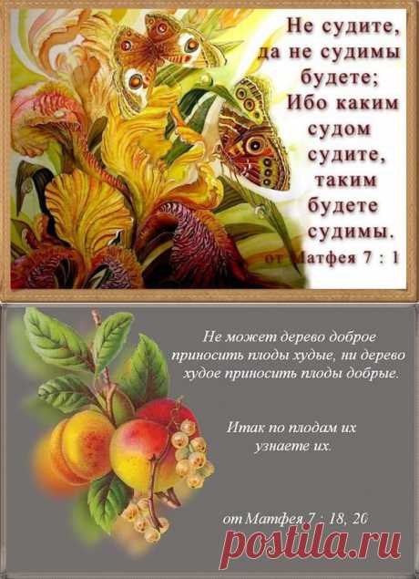 Солнышко - Евангелие от Матфея, глава 7 ~ Плэйкасты ~ Beesona.Ru