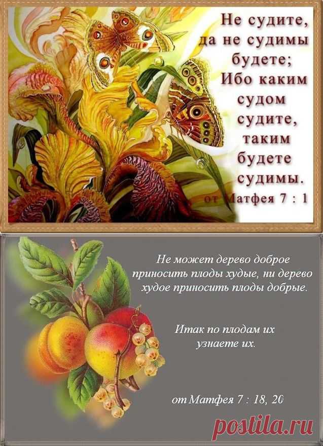 Солнышко - Евангелие от Матфея, глава 7 ~ Плэйкасты ~ Beesona.Ru