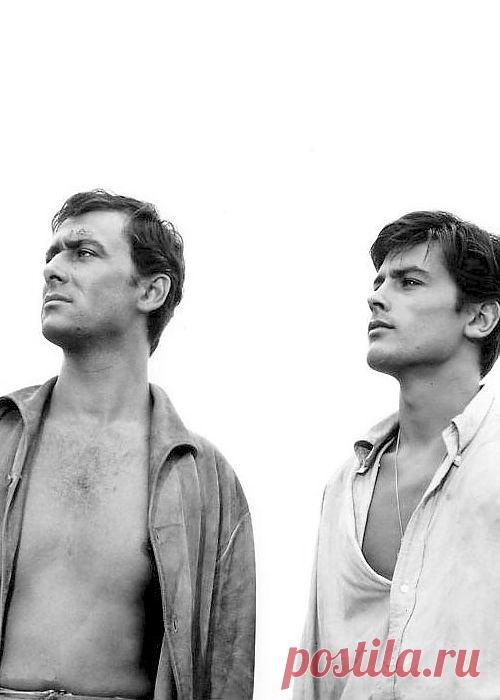 Морис Роне и Ален Делон