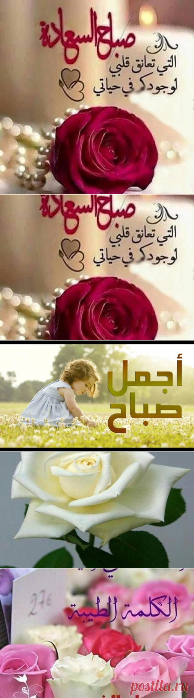 اجمل ادعية صباح الخير بالصور للفيس بوك - سيدات مصر