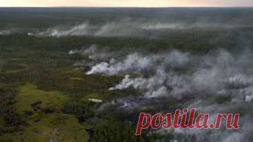 Ученые предупредили об опасности из-за крупных лесных пожаров в Якутии