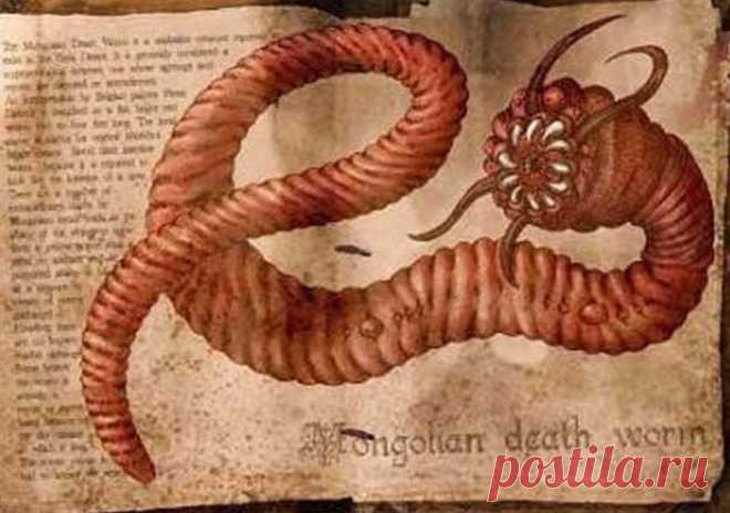 Загадки Азии. Олгой-хорхой – призрак песков - Общество - Каталог статей - Russia-Asia-Siberia