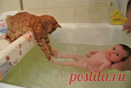 Усатый нянь.