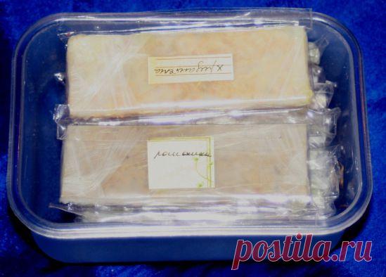 Мастер-класс по экстрагированию. Анфлераж в домашних условиях. Часть 1 - Ярмарка Мастеров - ручная работа, handmade