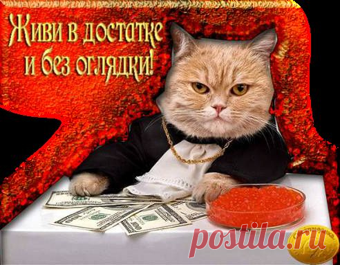 Плейкаст «Пусть летят, бегут года, Ты мужчина – хоть куда! С днем рождения поздравить Рады мы тебя всегда!»