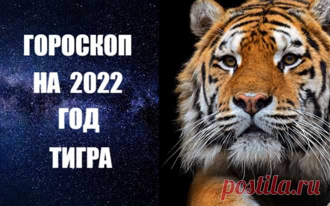ВИДЕО-ГОРОСКОП НА 2022 ГОД ТИГРА. Астропрогноз на 2022 год Тигра от авестийского астролога Анны Фалилеевой. Мы вступаем в 2022 год на фоне торжествующего Плутона, который будет безусловным лидером в Новом году. В Новогоднюю ночь он составит соединения с Венерой и  Меркурием. В то же самое время Сатурн будет посылать тревожные сигналы Ураны, как бы заранее предупреждая об опасностях и трудностях предстоящего года.
