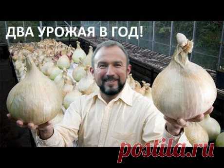 Все о ПОСАДКЕ ЧЕСНОКА на зиму для ОГРОМНЫХ урожаев!