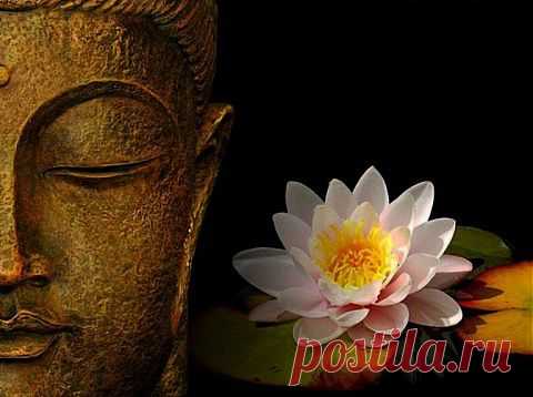 Размышления о четырех возвышенных состояниях | Шамбала