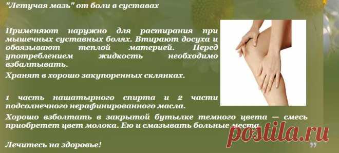 "Летучая мазь" от боли в суставах