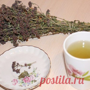 ОЧИЩЕНИЕ ЛЕГКИХ ТРАВАМИ